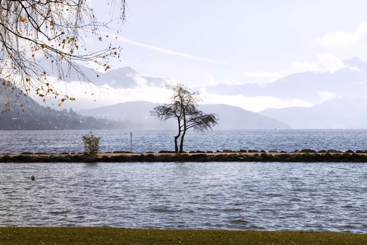 Le Fier Pied A Terre A Annecy